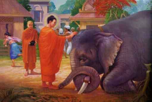 Đạo đức Phật giáo từ điểm nhìn giới không sát sanh 1 khong sat sinh
