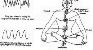 Ngồi thiền nâng cao hiệu quả công việc và sức khỏe 1 Ngồi thiền nâng cao hiệu quả công việc và sức khỏe