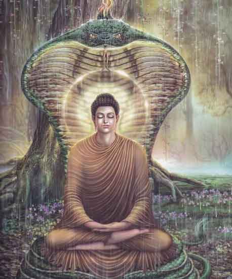 Hình ảnh cuộc đời Đức Phật Thích Ca 19 cuộc đời đức phật thích ca qua ảnh