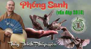 Phóng sinh đúng cách 1 Phóng sinh đúng cách