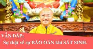 Sự thật về sự báo oán khi sát sinh 1 Sự thật về sự báo oán khi sát sinh