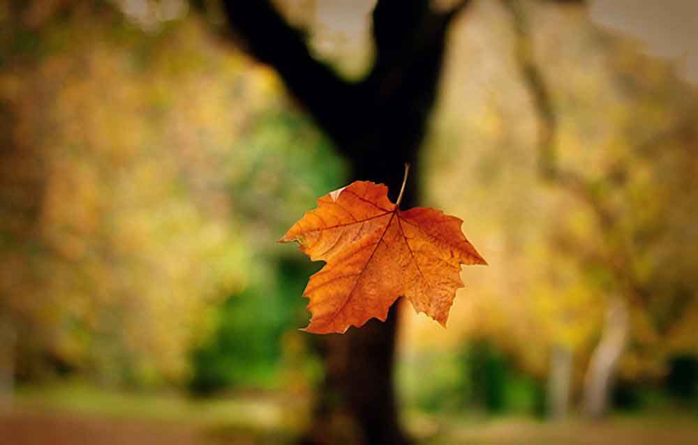 đến một lúc nào đó