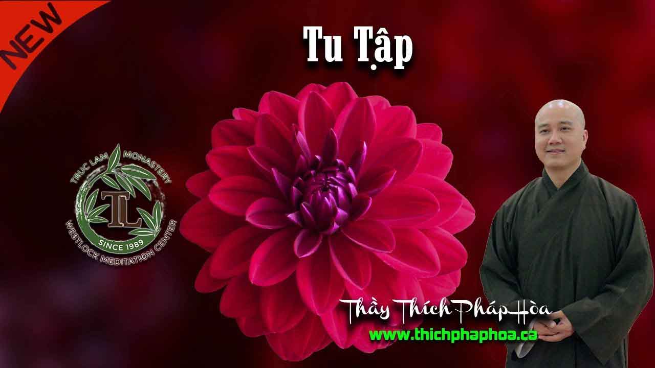 Tu Tập Thầy Thích Pháp Hòa 2019 Tu Viện Tây Thiên 