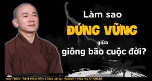 Làm sao đứng vững giữa giông bão của cuộc đời 1 Làm sao đứng vững giữa giông bão của cuộc đời