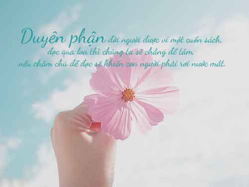 Những stt hay về cuộc sống giúp bạn nhận ra chân lý cuộc đời 18 stt hay về cuộc sống