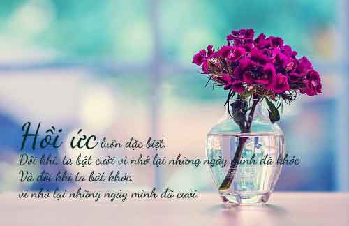Những stt hay về cuộc sống giúp bạn nhận ra chân lý cuộc đời 20 stt hay về cuộc sống