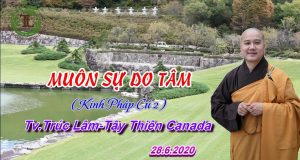 Muôn sự do tâm 1 Muôn sự do tâm
