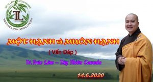 Một hạnh và muôn hạnh 20 Một hạnh và muôn hạnh