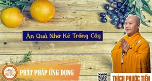 Ăn quả nhớ kẻ trồng cây 1 Ăn quả nhớ kẻ trồng cây
