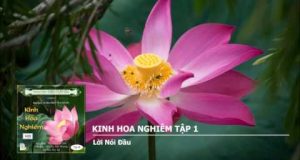 Kinh Hoa Nghiêm 1 Kinh Hoa Nghiêm