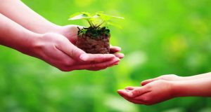 Làm từ thiện đúng cách 1 Làm từ thiện đúng cách