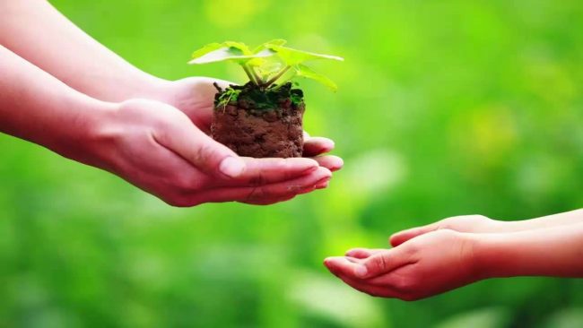 Làm từ thiện đúng cách 1 Làm từ thiện đúng cách