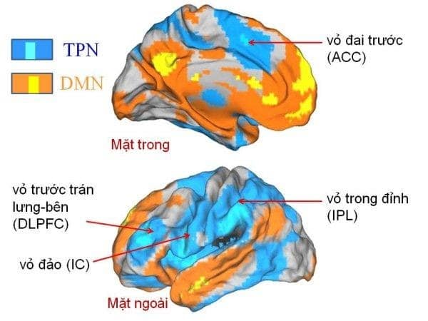 Tôi tọa thiền công án 2 Tôi tọa thiền công án