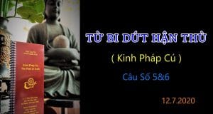 Từ bi dứt hận thù 1 Từ bi dứt hận thù