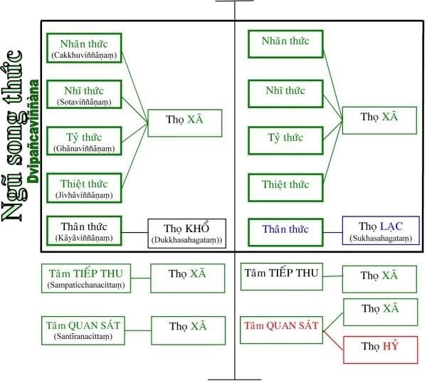 Tôi học tạng vi diệu pháp (Abhidhamma) 13 vi diệu pháp