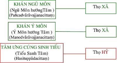 Tôi học tạng vi diệu pháp (Abhidhamma) 14 vi diệu pháp