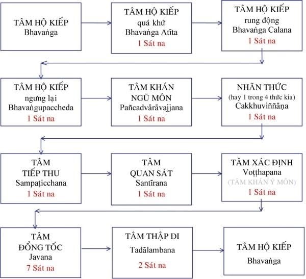 Tôi học tạng vi diệu pháp (Abhidhamma) 15 vi diệu pháp