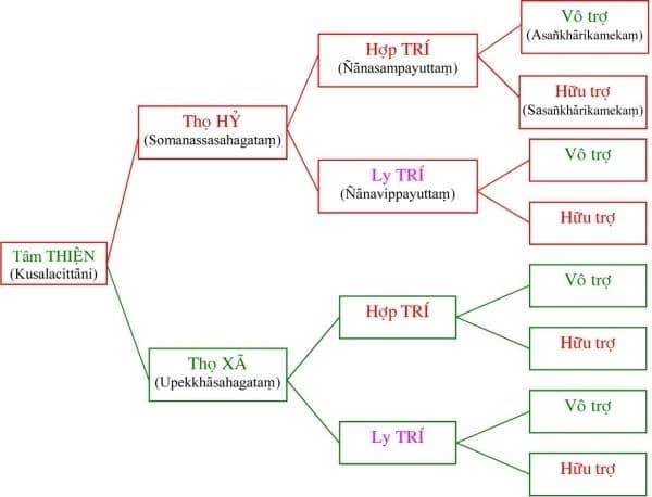 Tôi học tạng vi diệu pháp (Abhidhamma) 18 vi diệu pháp