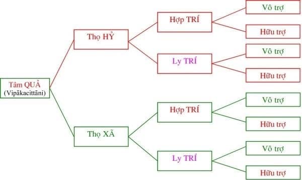 Tôi học tạng vi diệu pháp (Abhidhamma) 19 vi diệu pháp