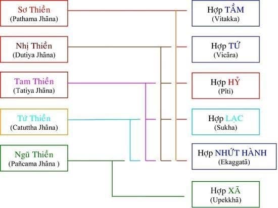 Tôi học tạng vi diệu pháp (Abhidhamma) 23 vi diệu pháp