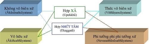 Tôi học tạng vi diệu pháp (Abhidhamma) 24 vi diệu pháp