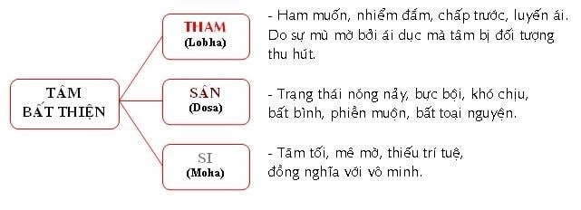 Tôi học tạng vi diệu pháp (Abhidhamma) 7 vi diệu pháp