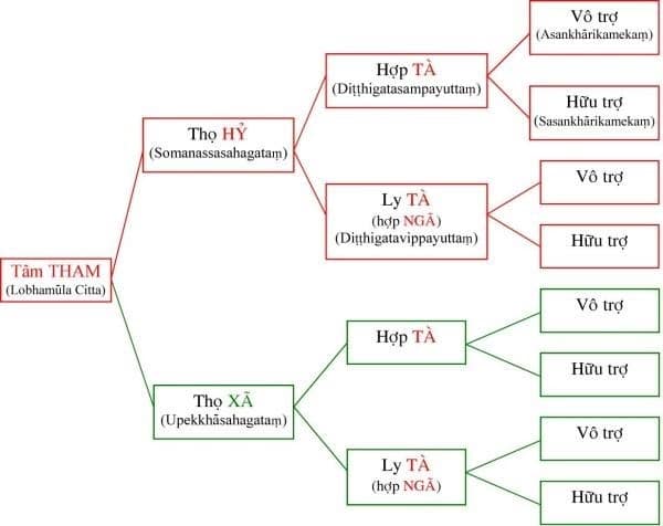 Tôi học tạng vi diệu pháp (Abhidhamma) 8 vi diệu pháp