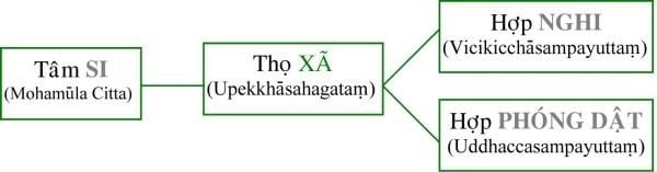 Tôi học tạng vi diệu pháp (Abhidhamma) 10 vi diệu pháp