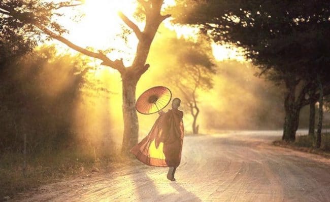 Con người cả đời tranh giành nhau rốt cuộc vì điều gì? 1 Con người cả đời tranh giành nhau rốt cuộc là vì điều gì?